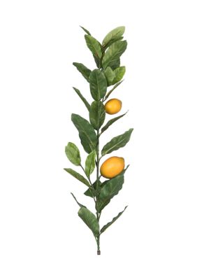 Lemon Branch with Leaves
