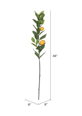 Lemon Branch with Leaves