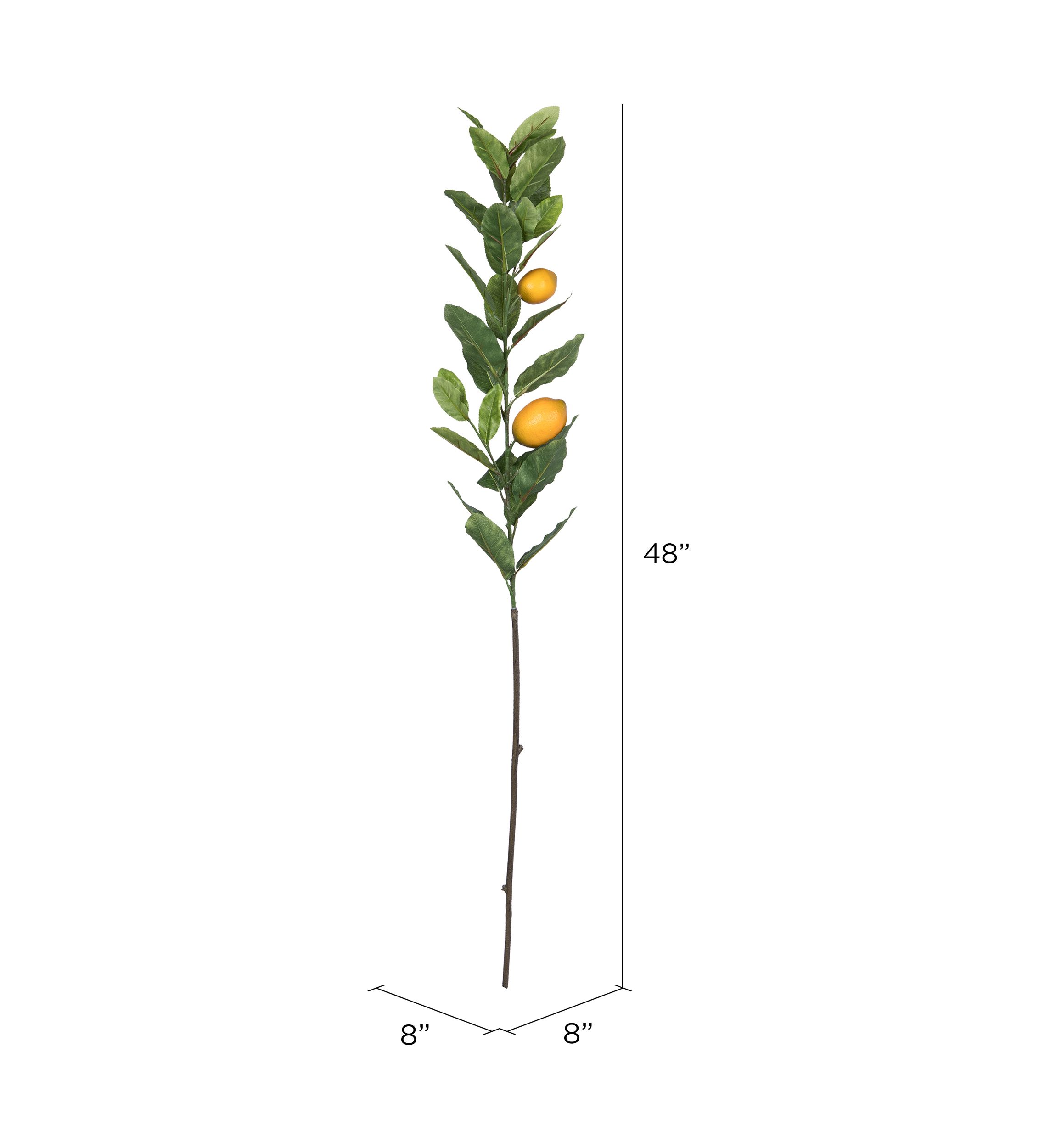 Lemon Branch with Leaves