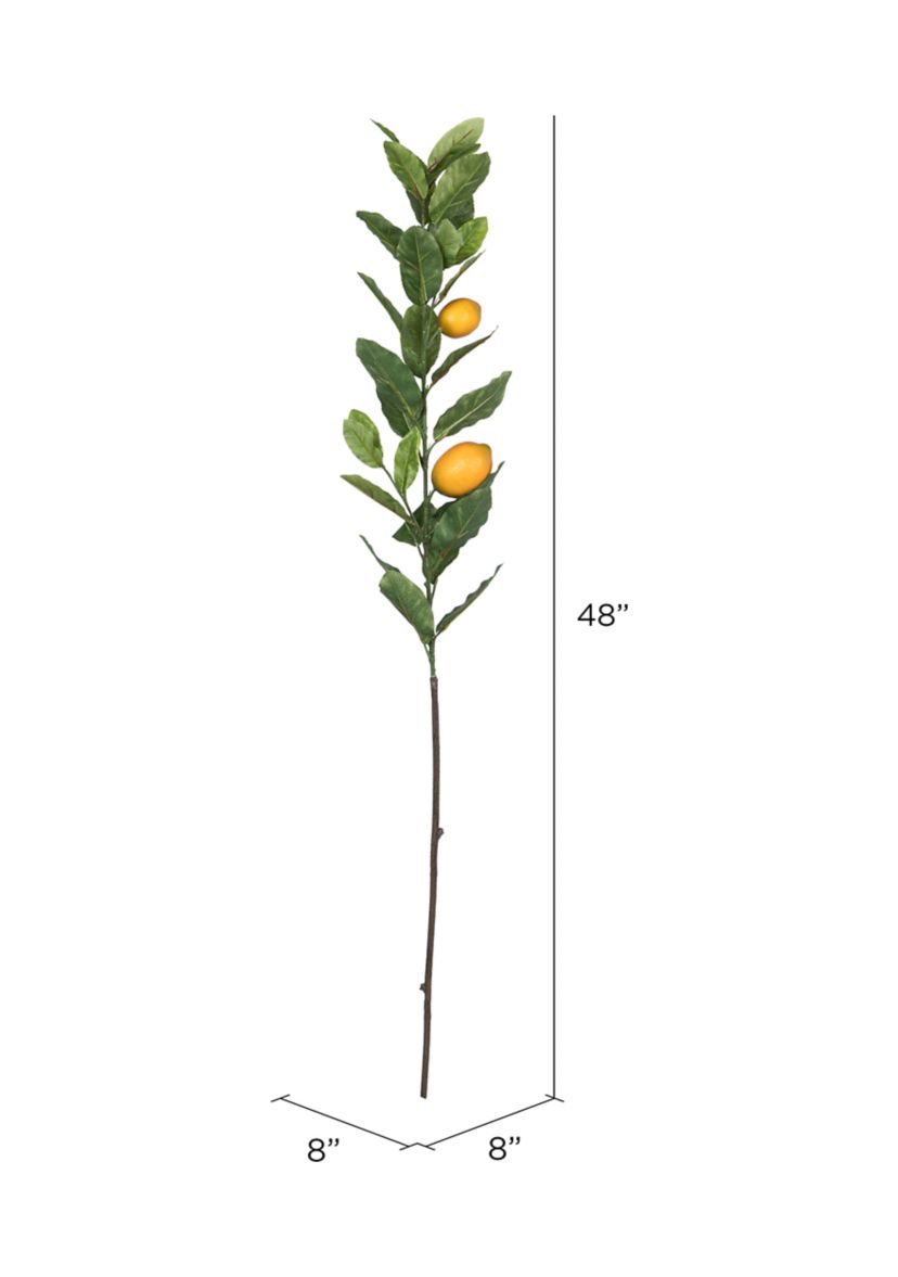 Lemon Branch with Leaves