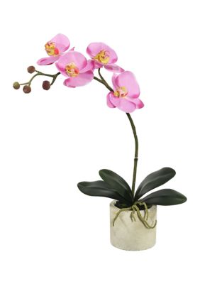 Vickerman Lavender Orchid