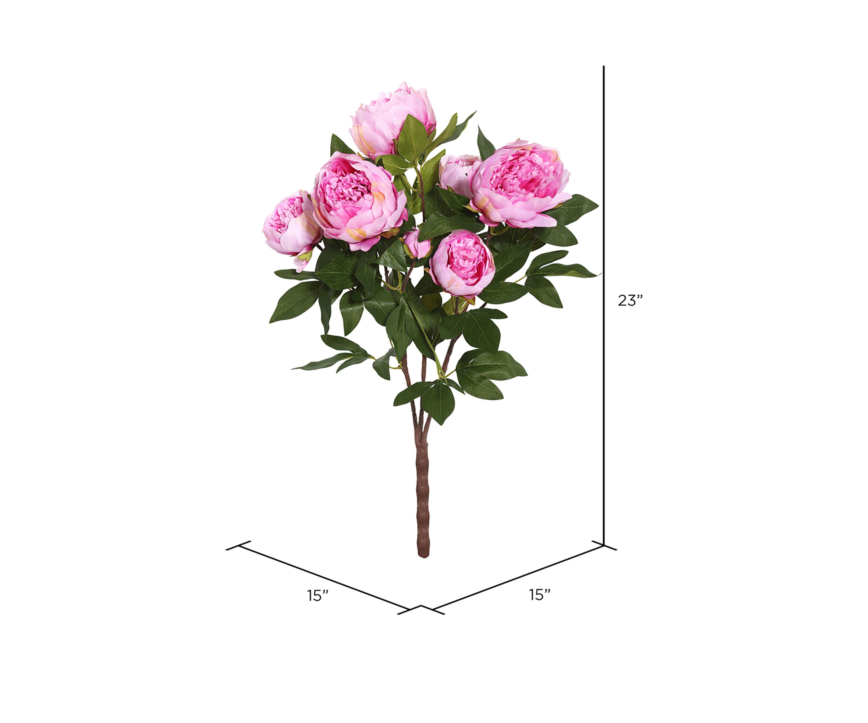 Cerise Peony Bush