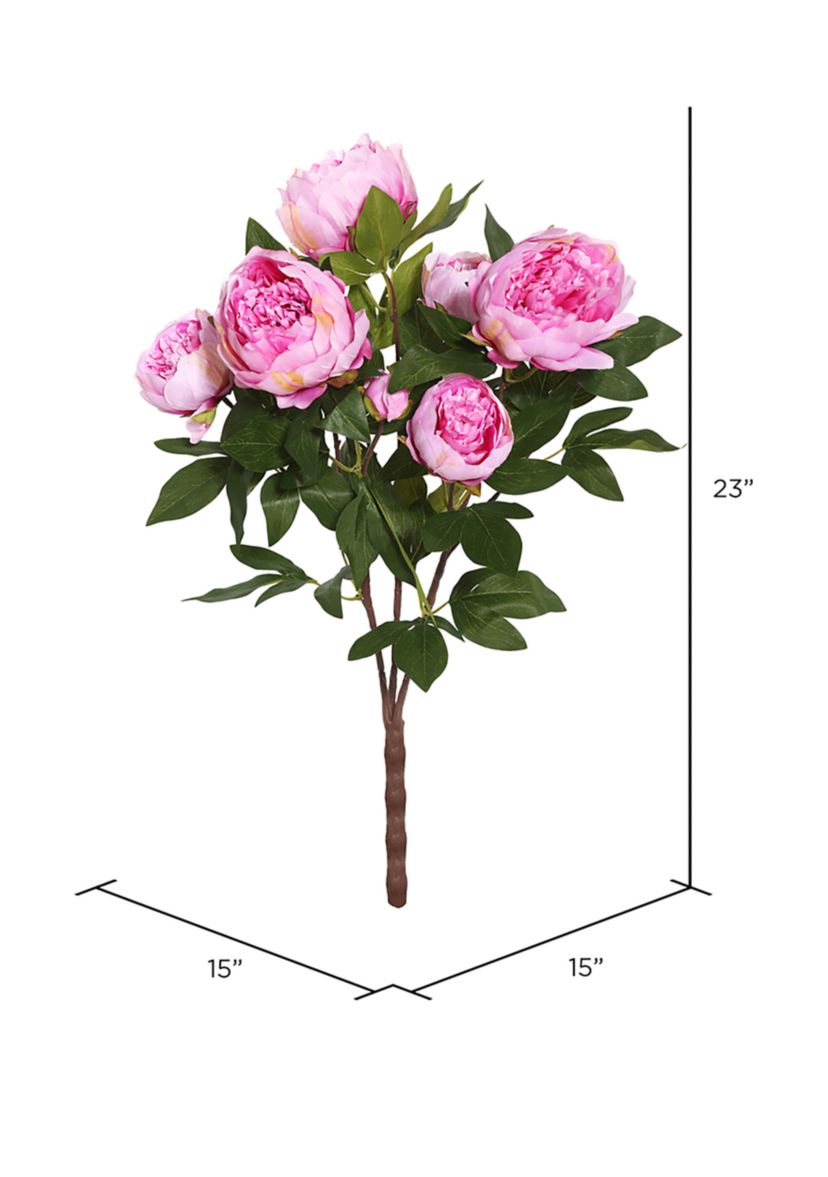 Cerise Peony Bush