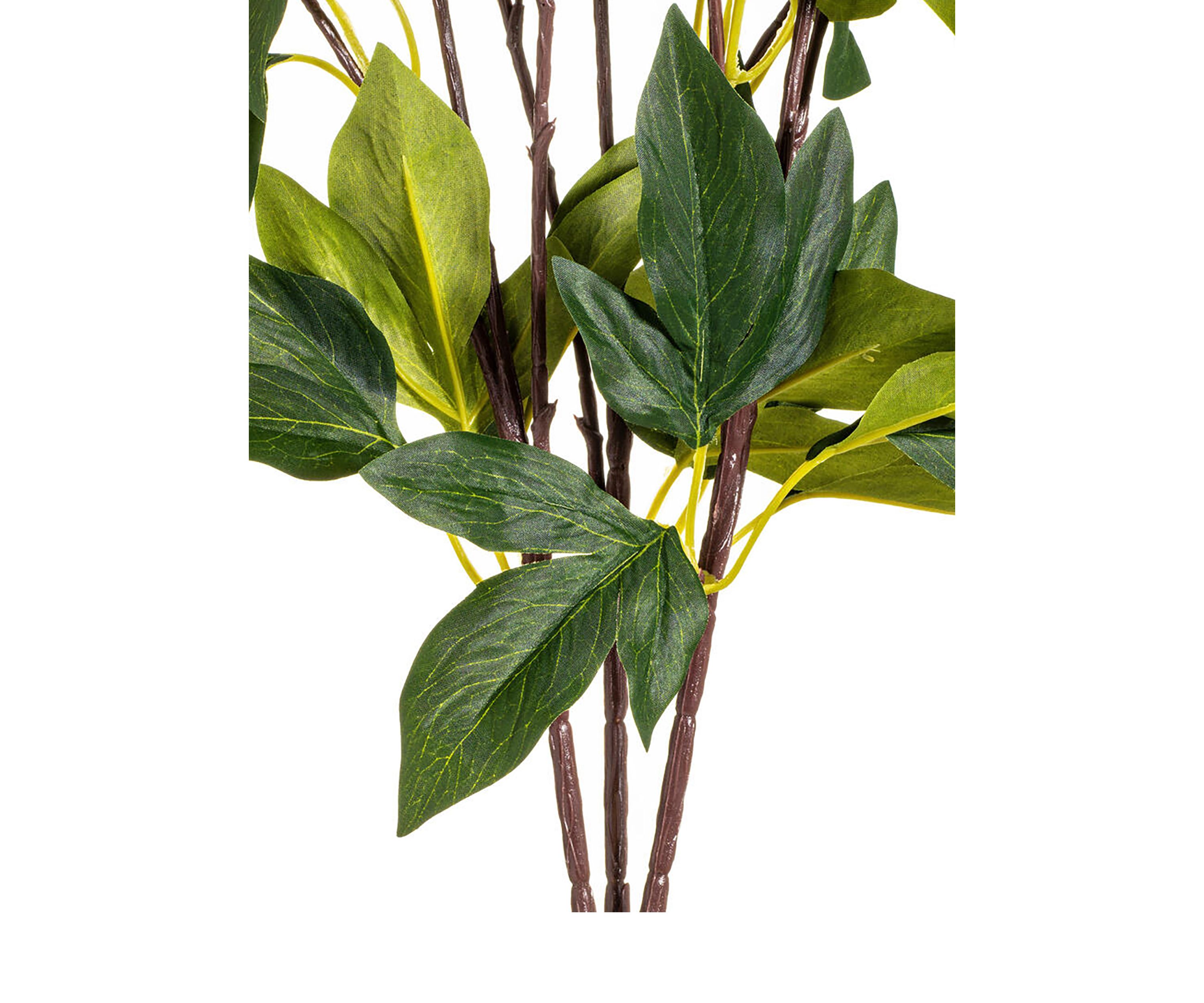 Vickerman 23" Artificial Beige Peony Spray.