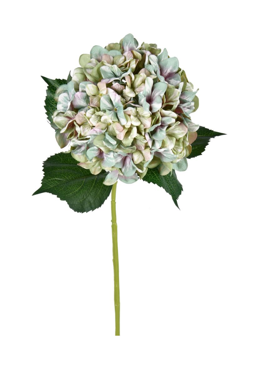 Green Hydrangea Spray
