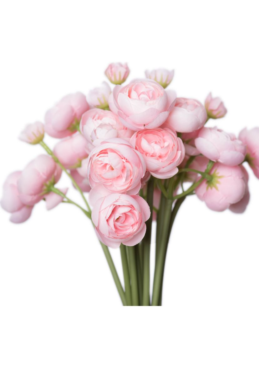 Pink Lotus Bundle