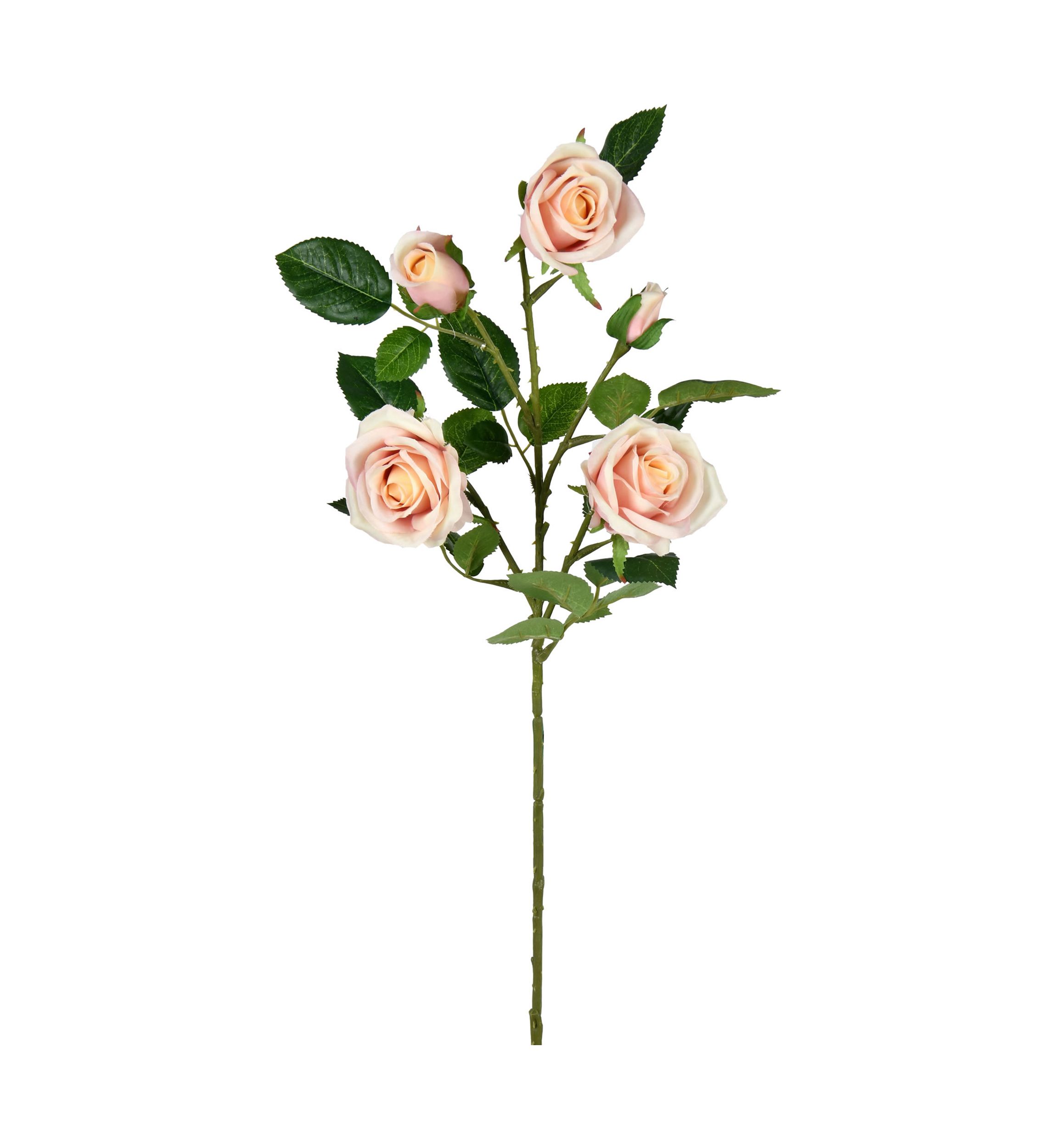 Rose Spray