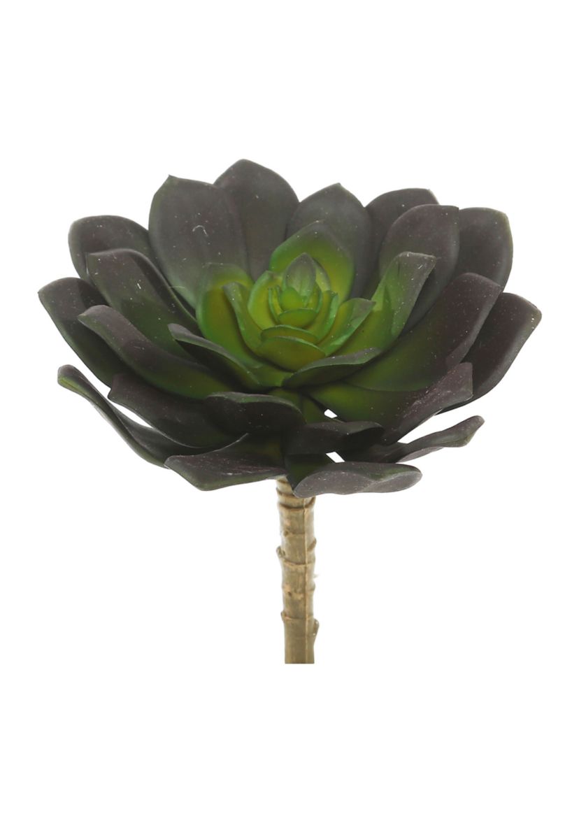 Green Echeveria Pick