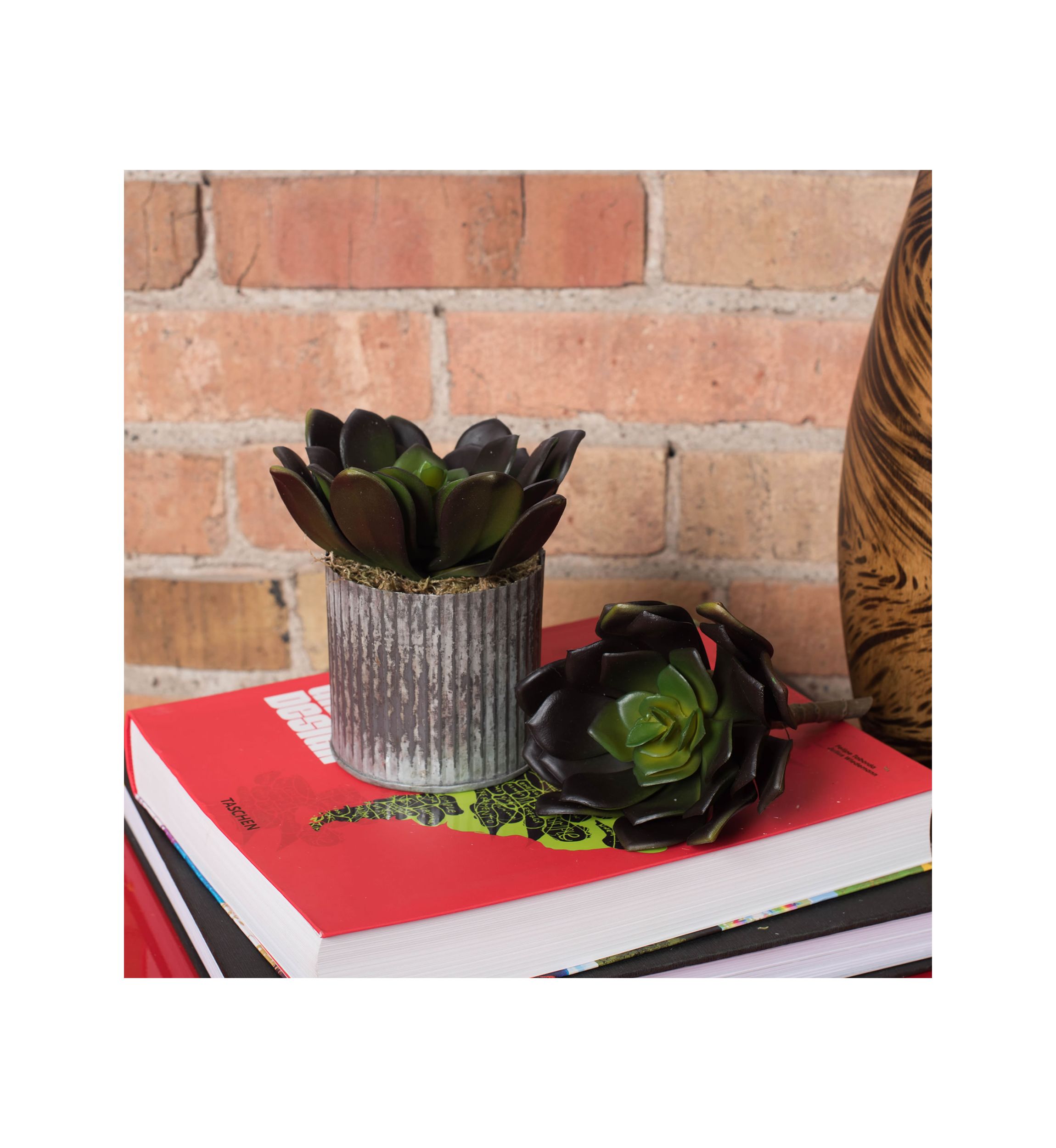 Green Echeveria Pick