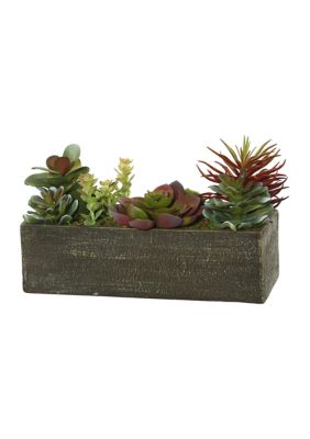 Vickerman Green Succulent Arrangement