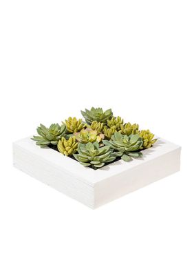 Artificial Succulent Arrangement.