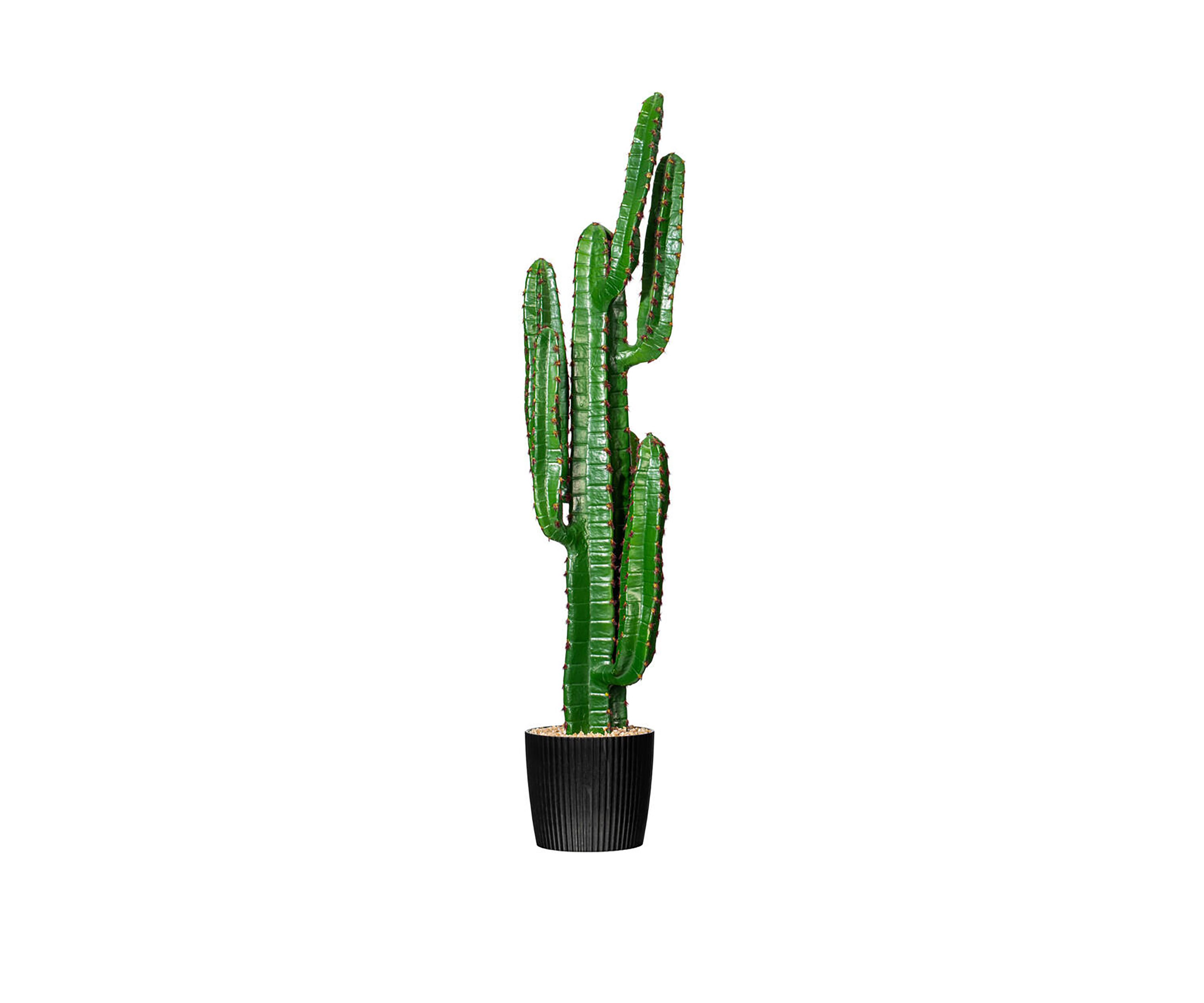 Vickerman 45" Artificial Green Finger Cactus in 8" Black Pot.