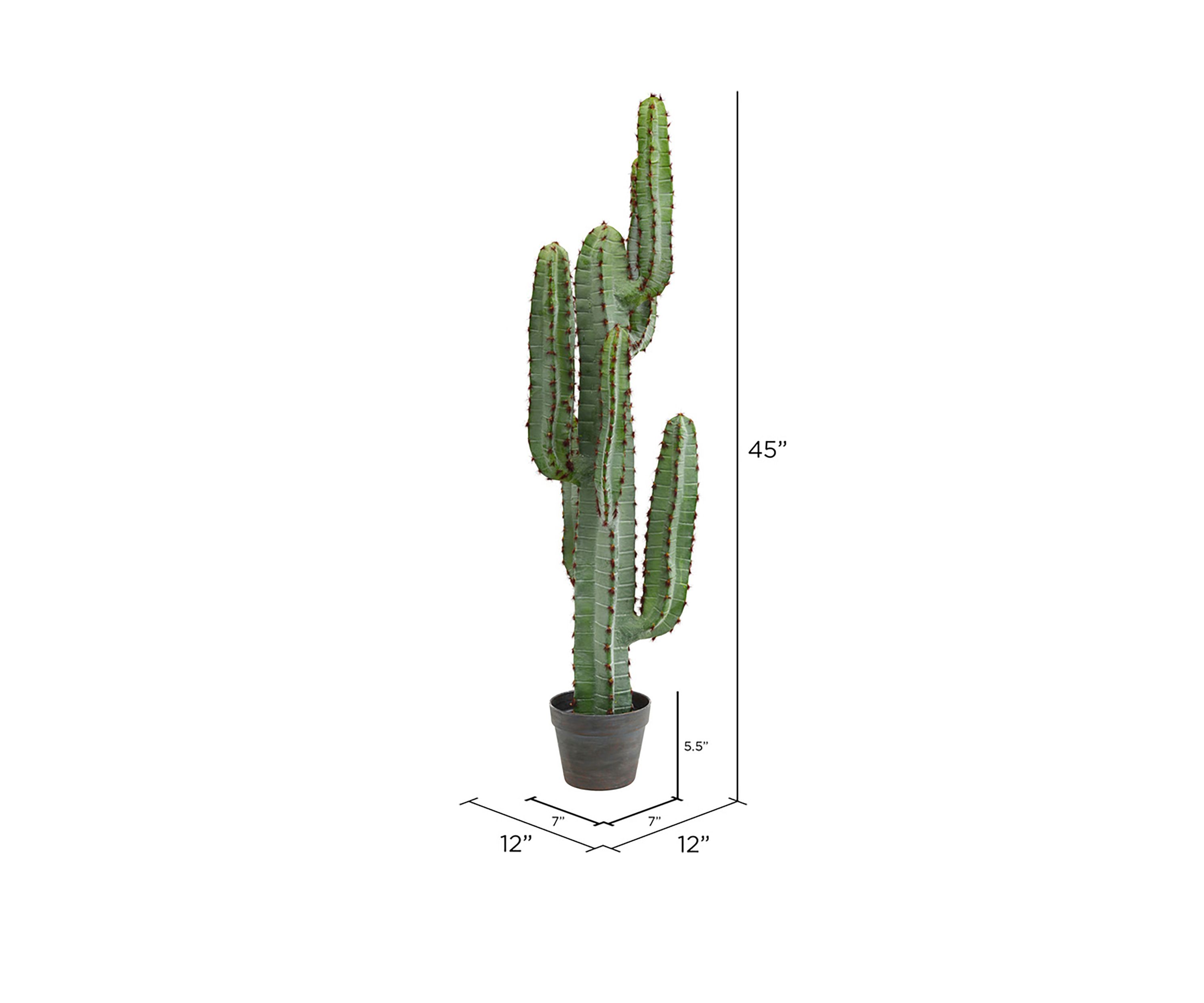 Vickerman 45" Artificial Green Finger Cactus in 8" Black Pot.