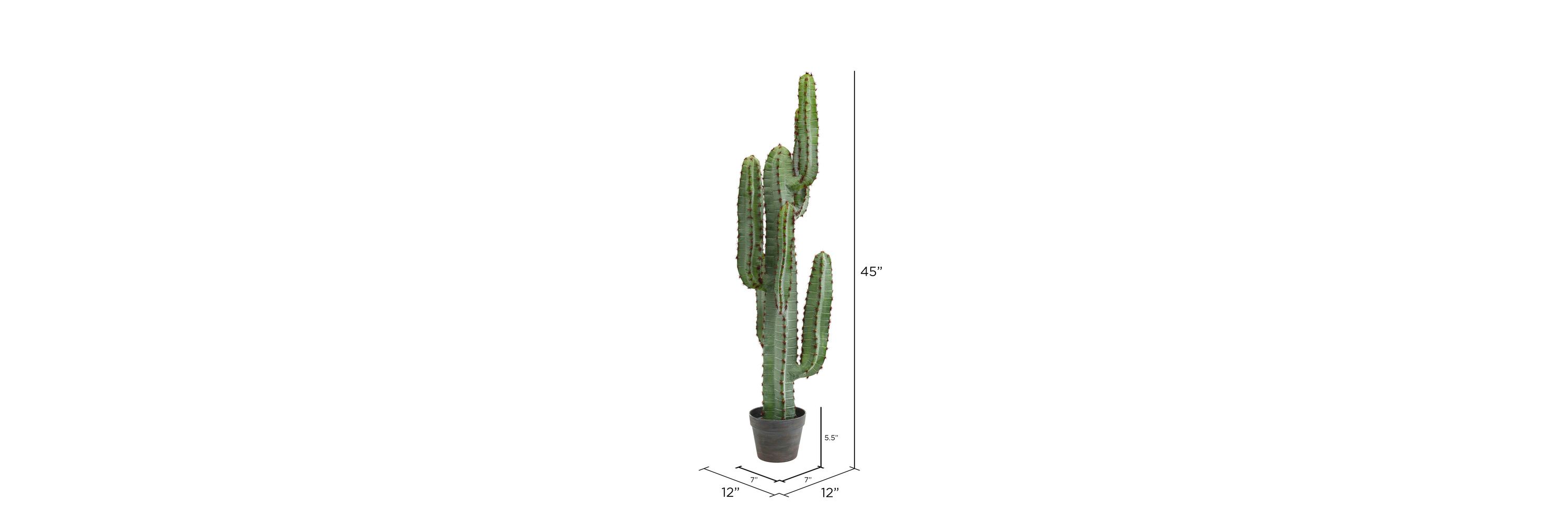 Vickerman 45" Artificial Green Finger Cactus in 8" Black Pot.