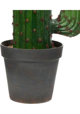 Cactus In Gray And Light Red Pot