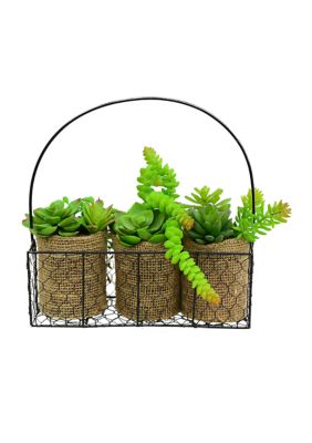 Vickerman Assorted Succulents in Galvanized Hanger, Green