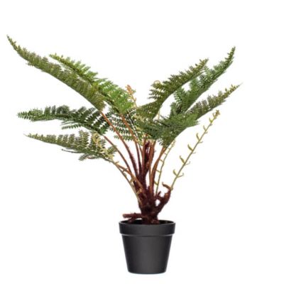 Vickerman Green Fern in Round Black Pot