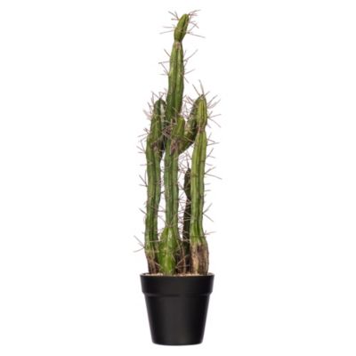 Vickerman 24" Artificial Green Cactus, Black Plastic Planters Pot