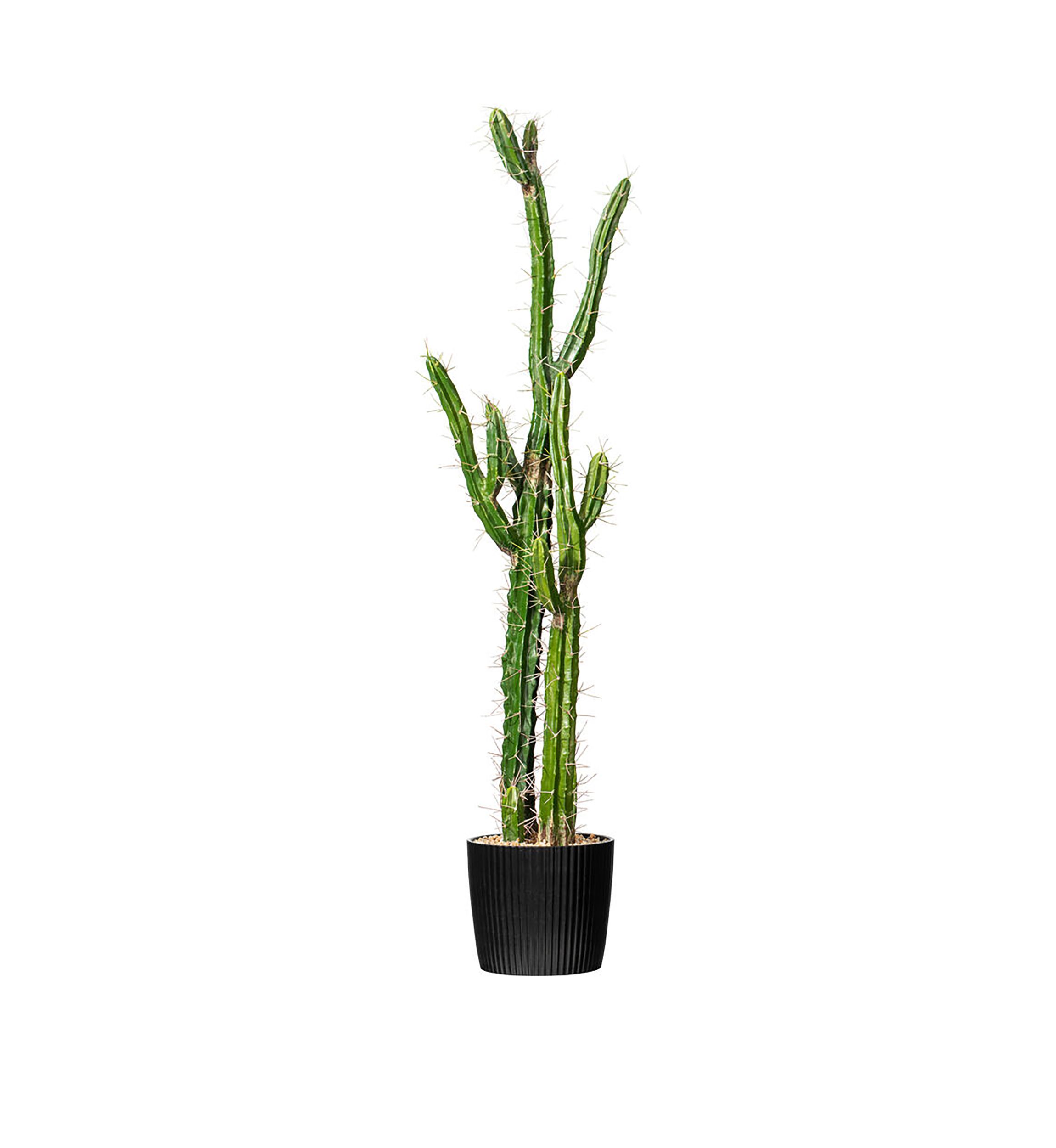 Artificial Cactus, Black Plastic Planters Pot.