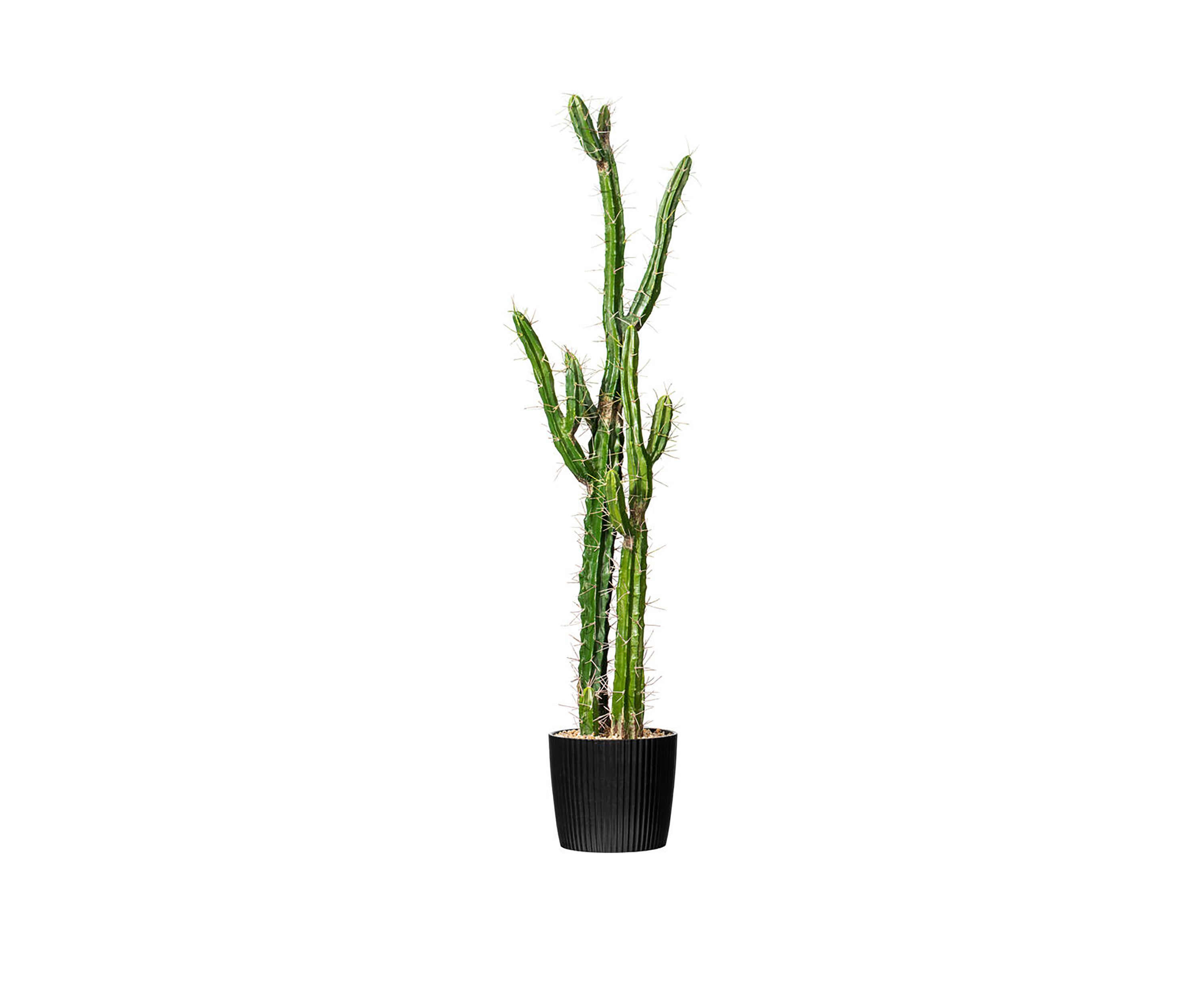 Artificial Cactus, Black Plastic Planters Pot.