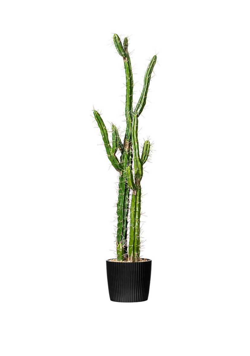 Artificial Cactus, Black Plastic Planters Pot.