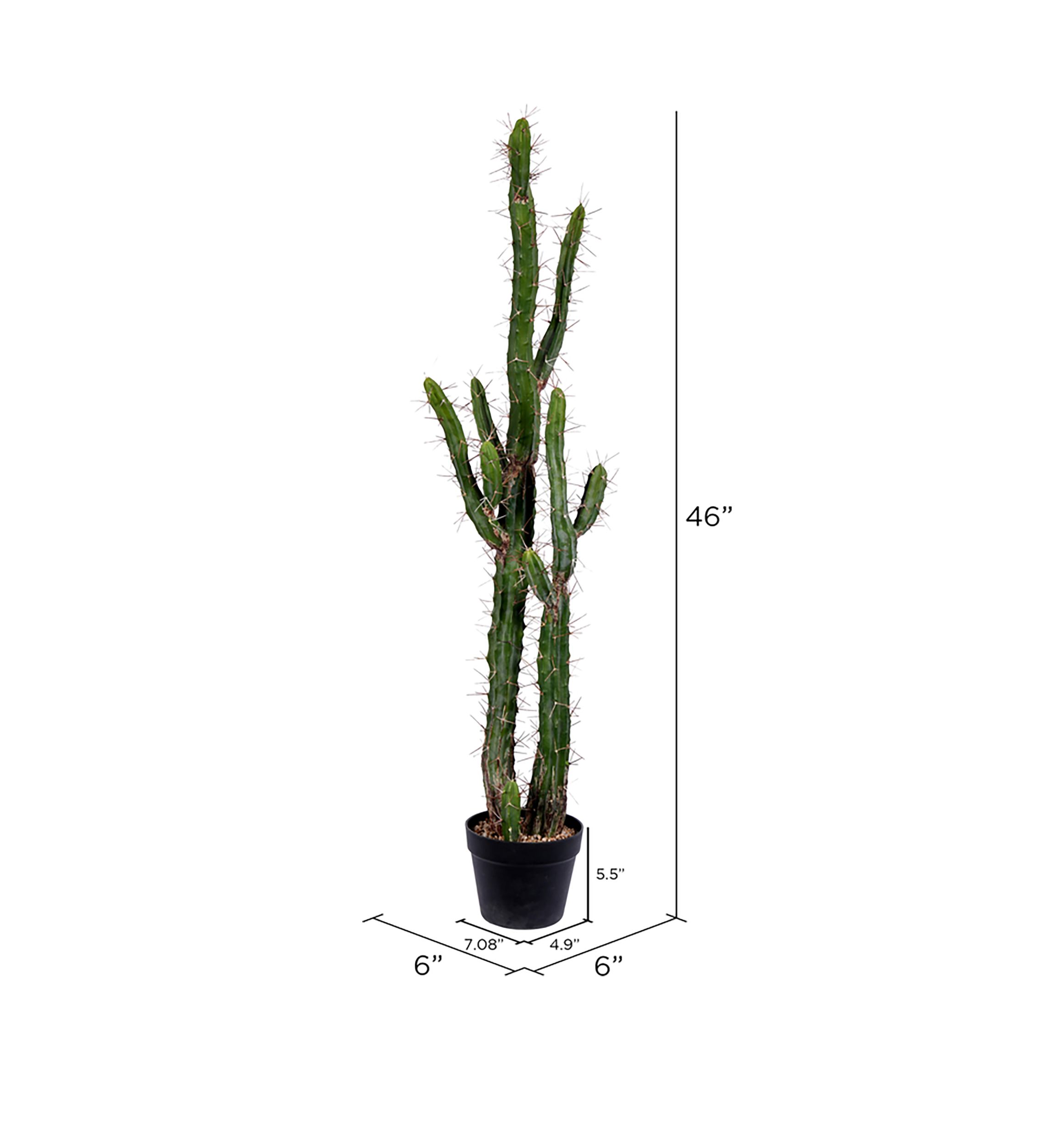 Artificial Cactus, Black Plastic Planters Pot.