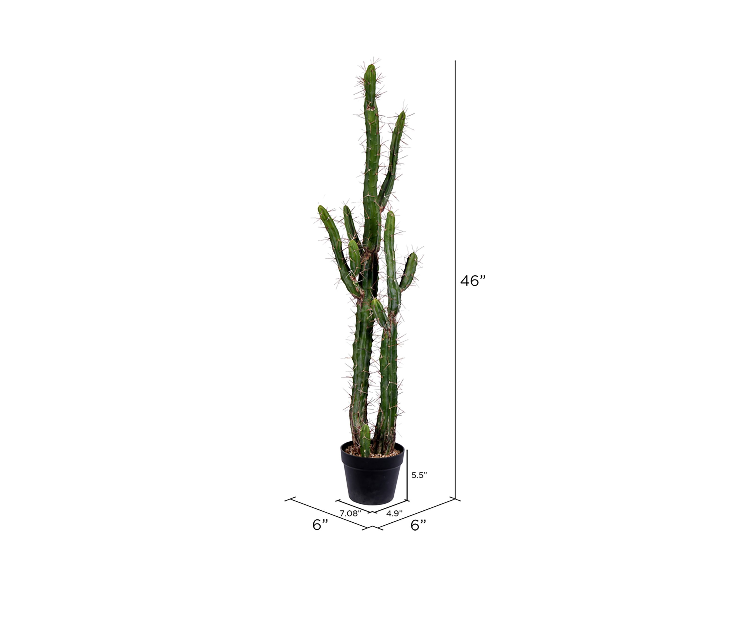Artificial Cactus, Black Plastic Planters Pot.