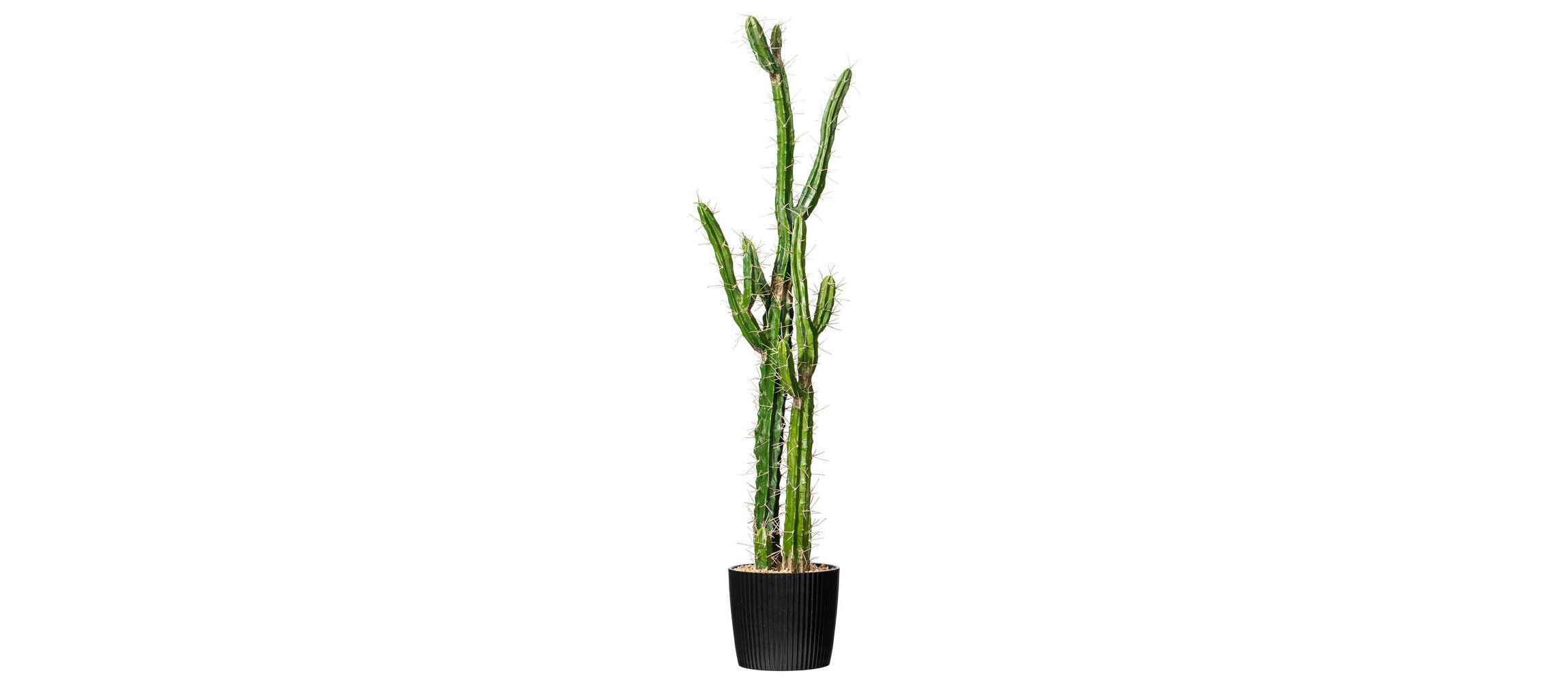 Artificial Cactus, Black Plastic Planters Pot.