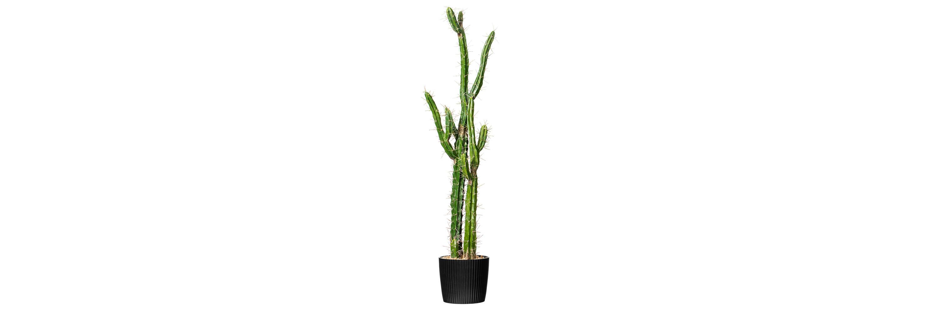 Artificial Cactus, Black Plastic Planters Pot.