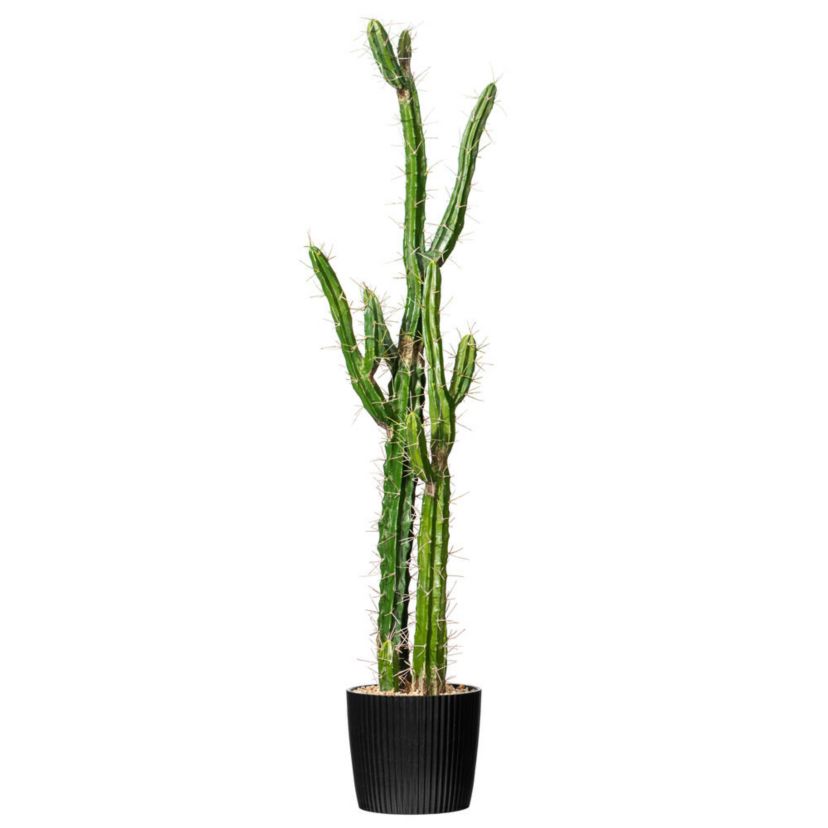 Artificial Cactus, Black Plastic Planters Pot.
