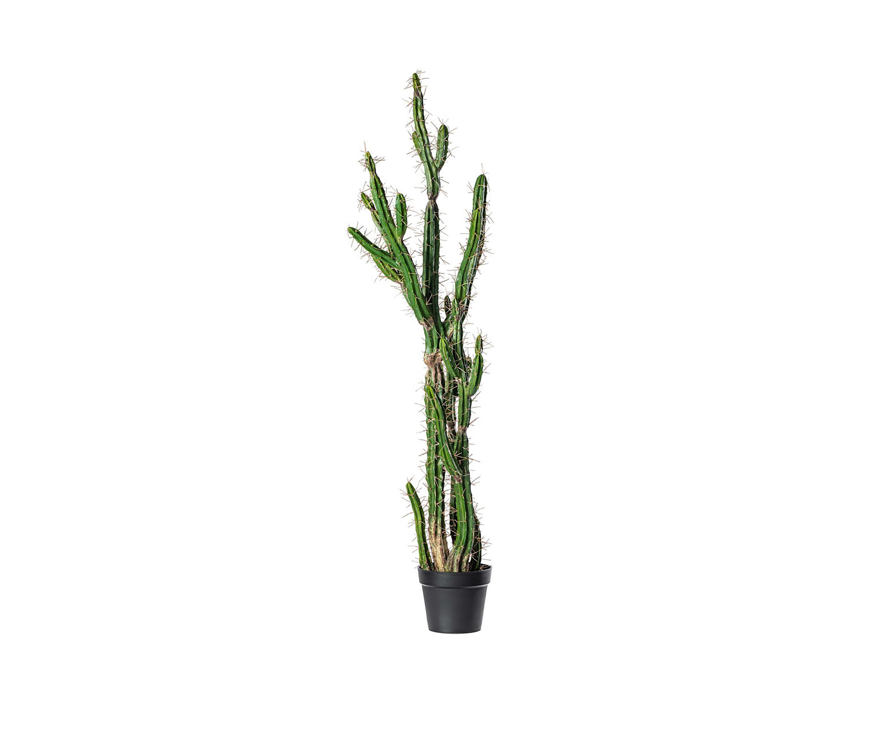 Artificial Cactus, Black Plastic Planters Pot.
