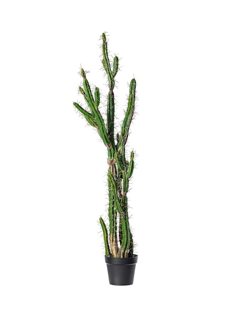 Artificial Cactus, Black Plastic Planters Pot.