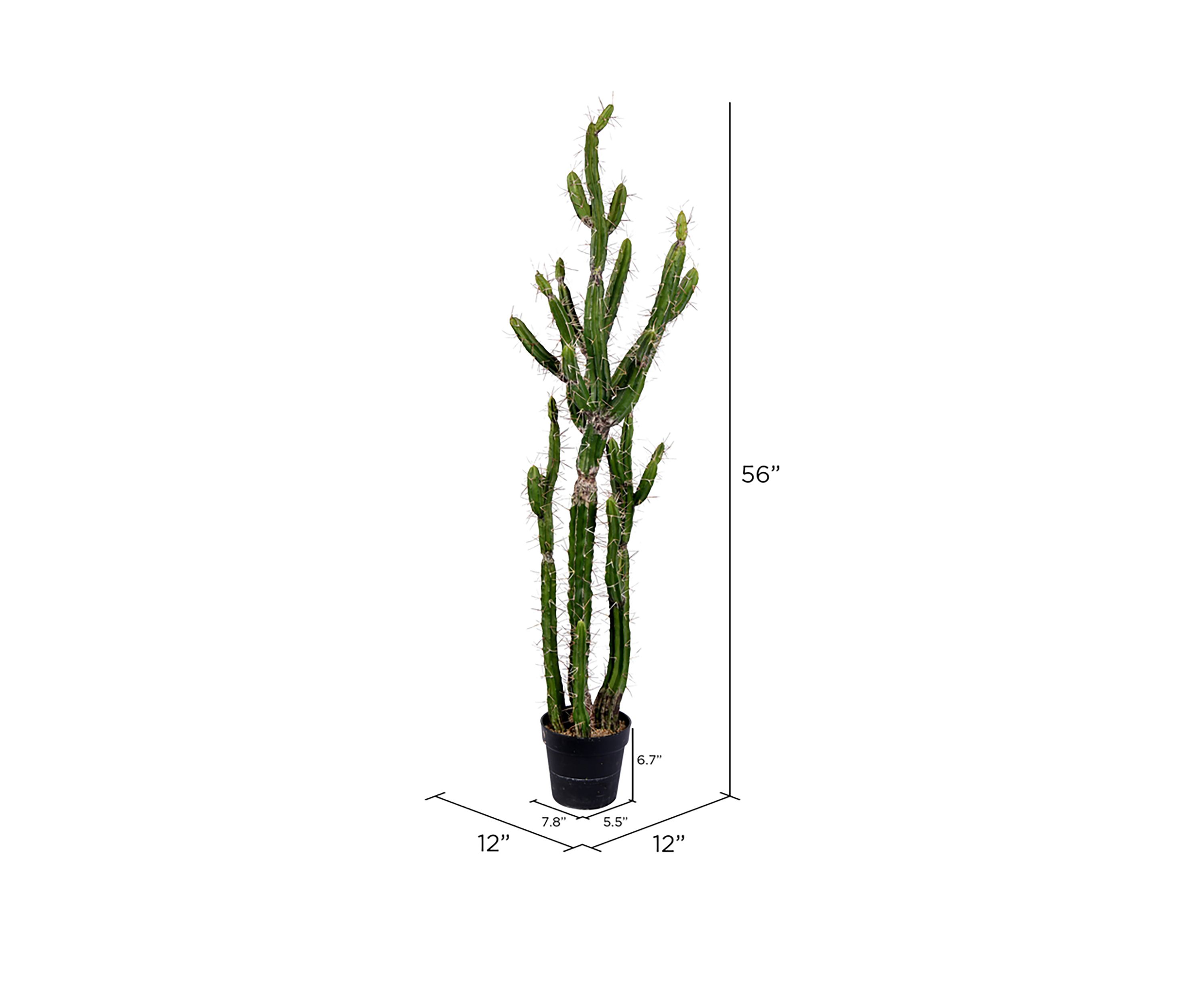 Artificial Cactus, Black Plastic Planters Pot.