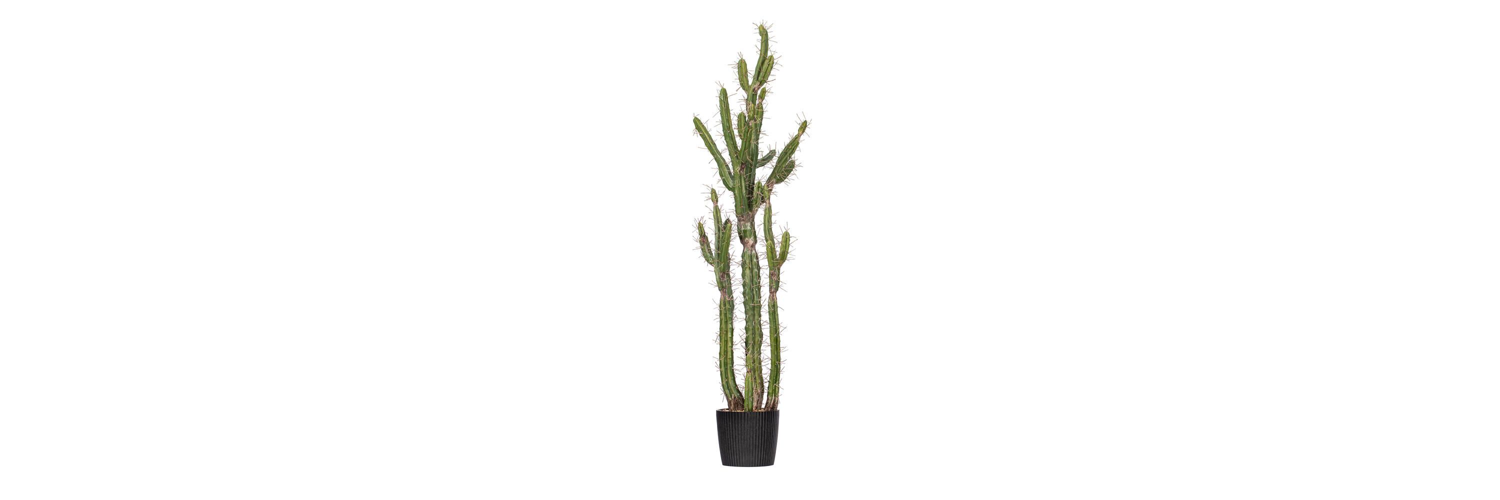 Artificial Cactus, Black Plastic Planters Pot.