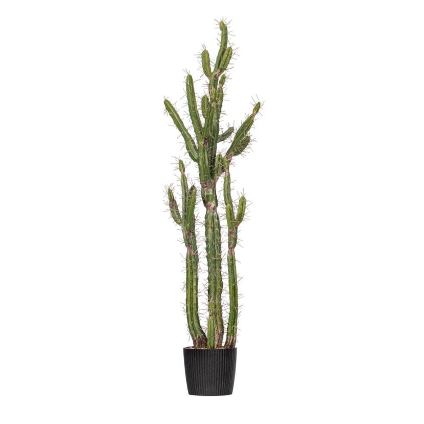 Artificial Cactus, Black Plastic Planters Pot.