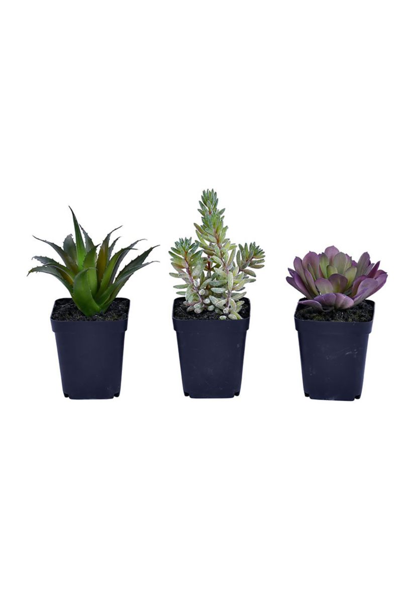 Artificial Succulent, Plastic Planters Pot, Set of 3
