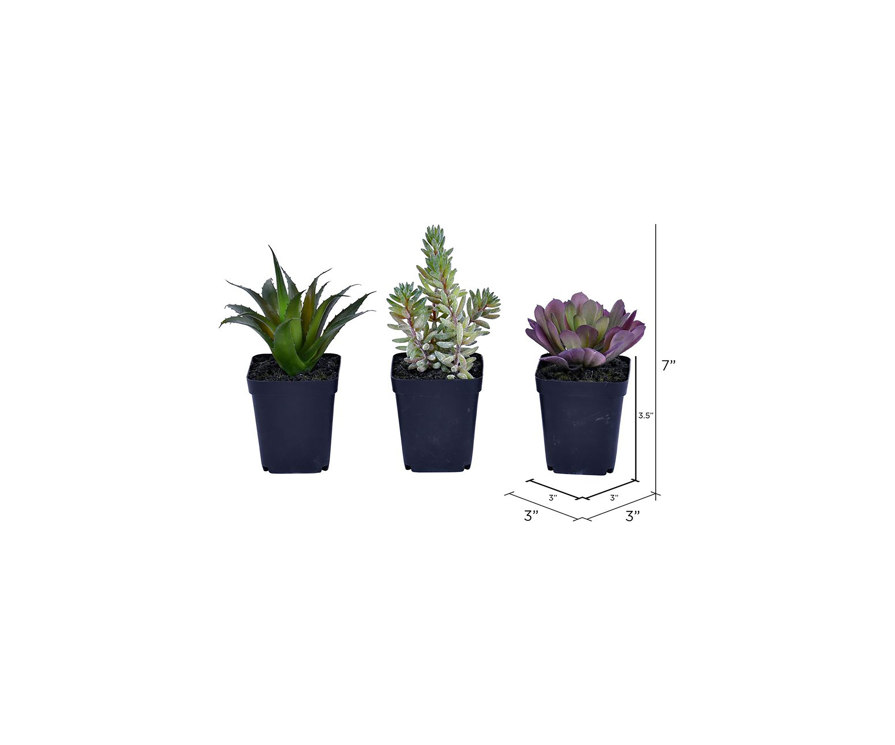 Artificial Succulent, Plastic Planters Pot, Set of 3