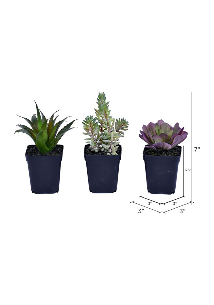 Artificial Succulent, Plastic Planters Pot, Set of 3