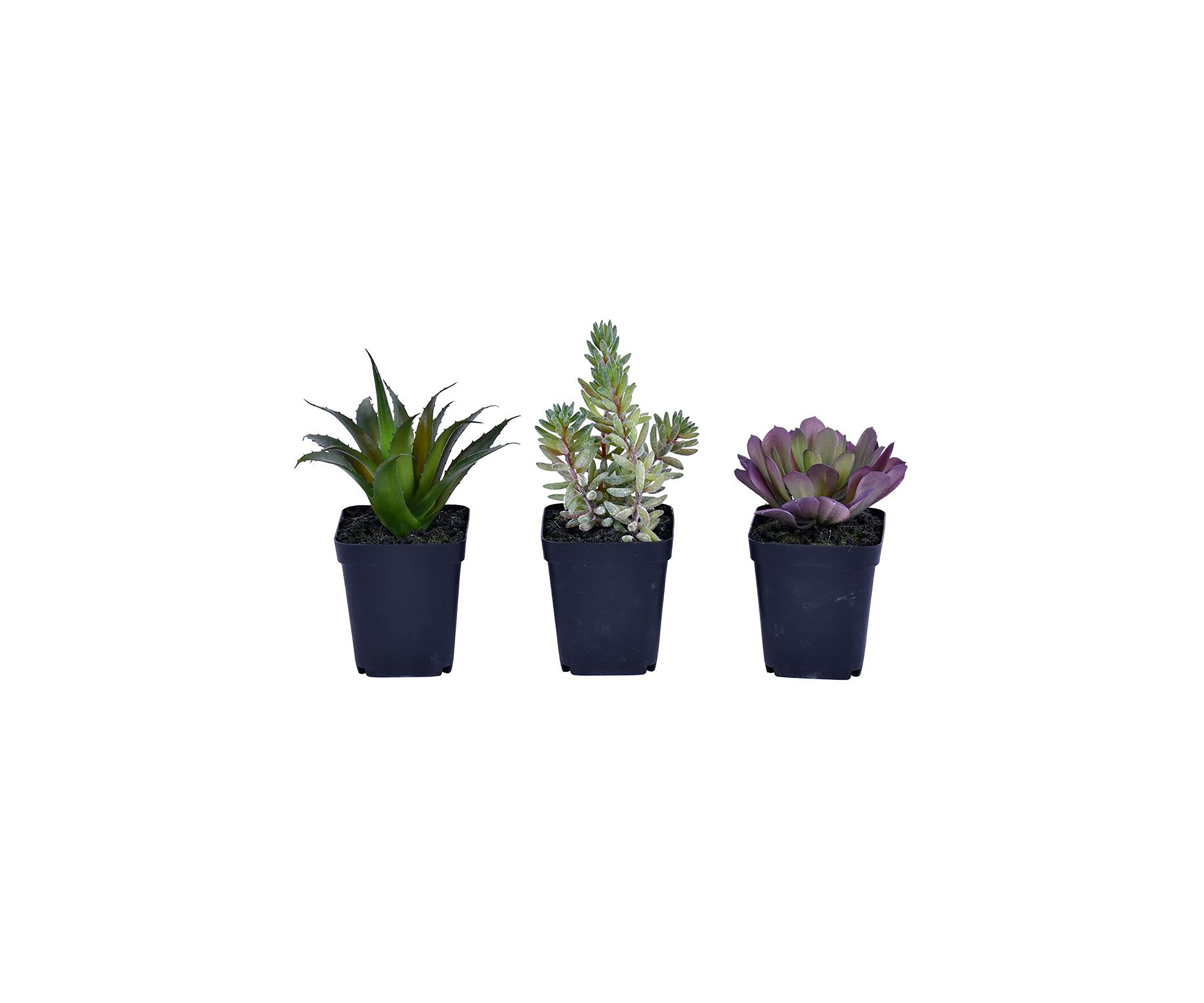 Artificial Succulent, Plastic Planters Pot, Set of 3