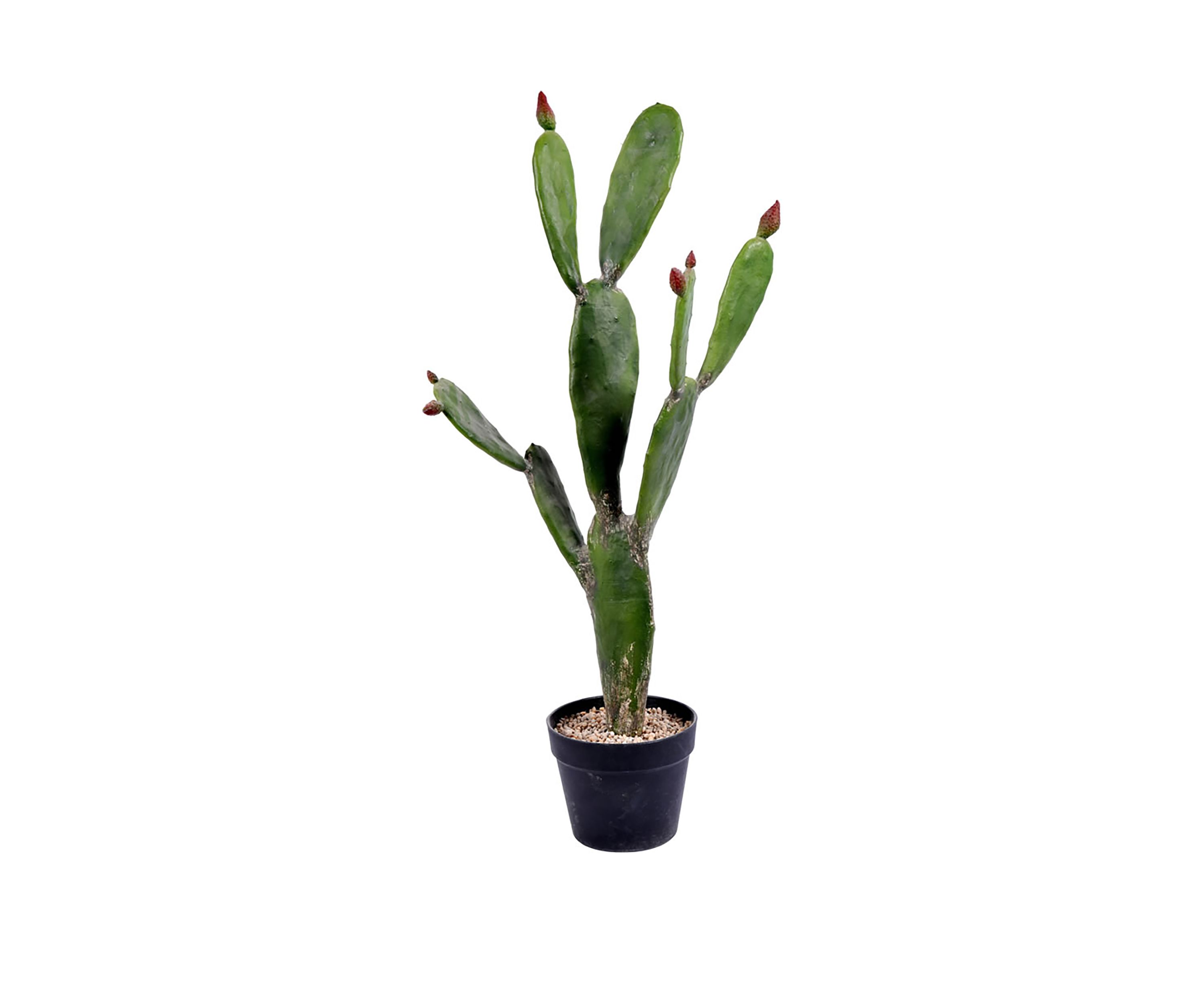 Vickerman 34" Artificial Green Cactus, Black Plastic Planters Pot.
