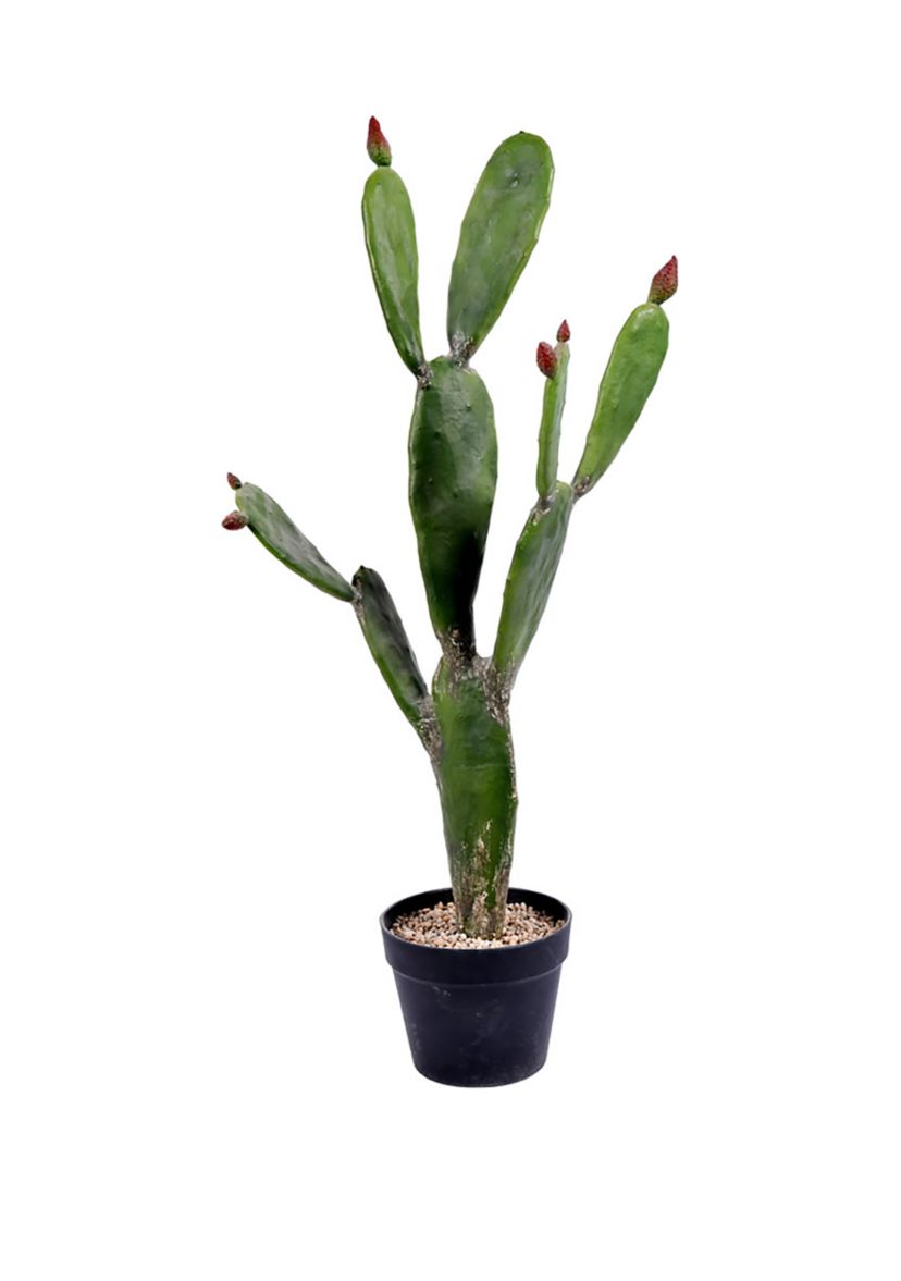 Vickerman 34" Artificial Green Cactus, Black Plastic Planters Pot.