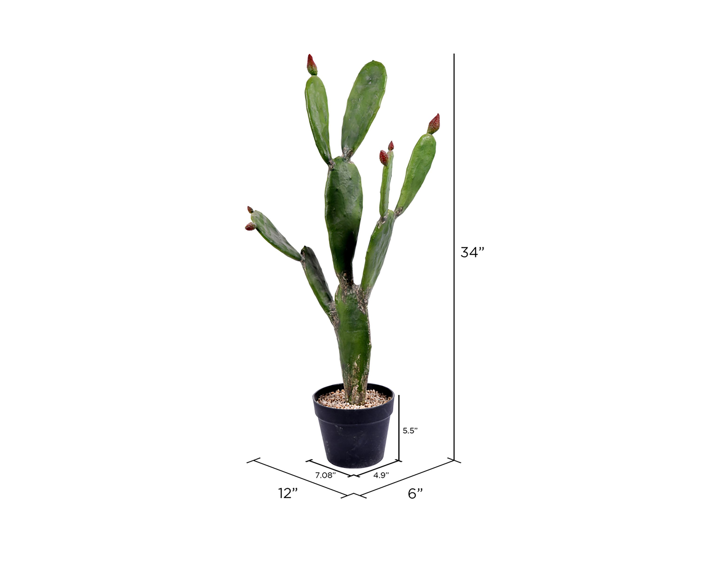 Vickerman 34" Artificial Green Cactus, Black Plastic Planters Pot.