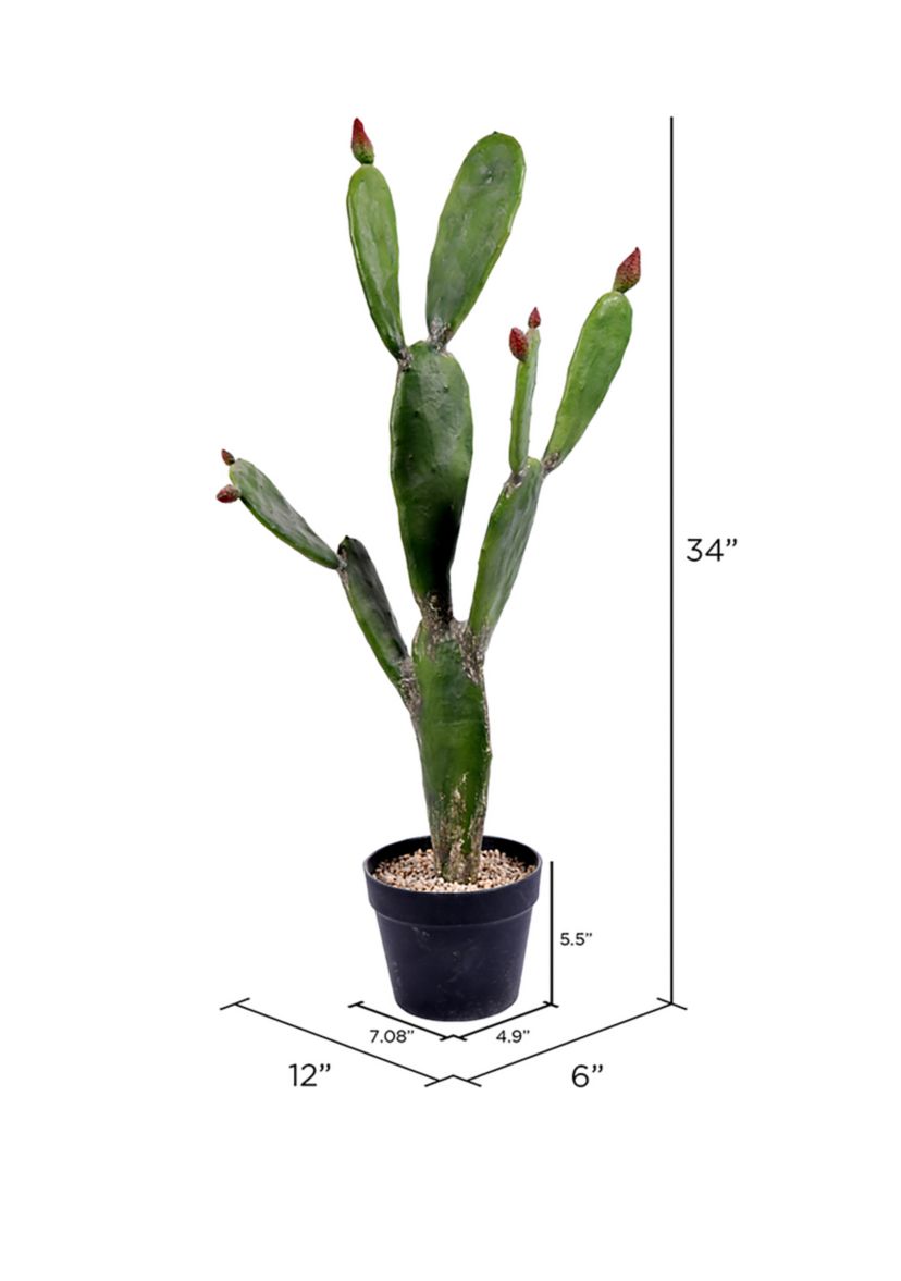 Vickerman 34" Artificial Green Cactus, Black Plastic Planters Pot.