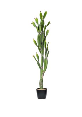 Vickerman Green Cactus Black Plastic Planters Pot