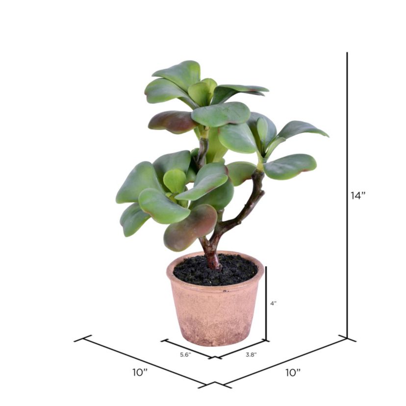 Vickerman 14" Artificial Green Succulent, Paper Pot.