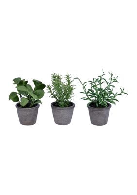 Potted Plant Assortment