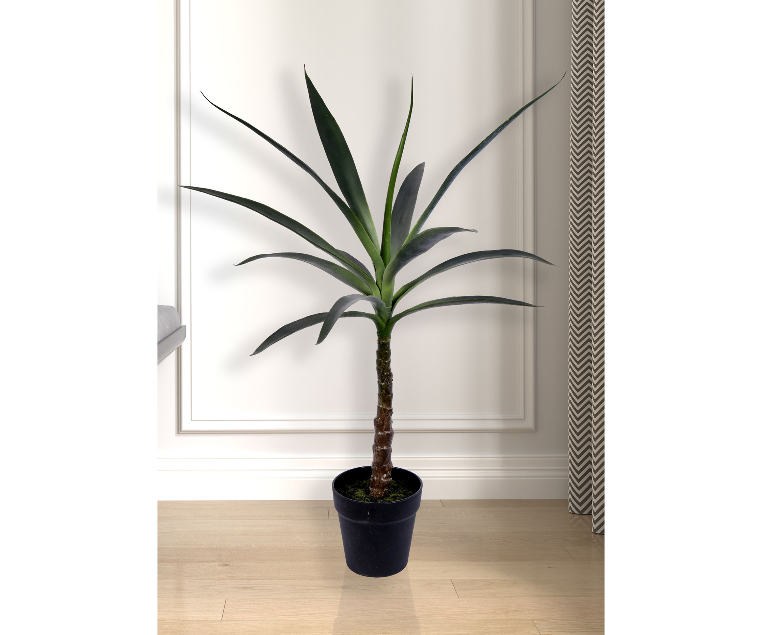 Green Yucca Tree in Black Planters Pot