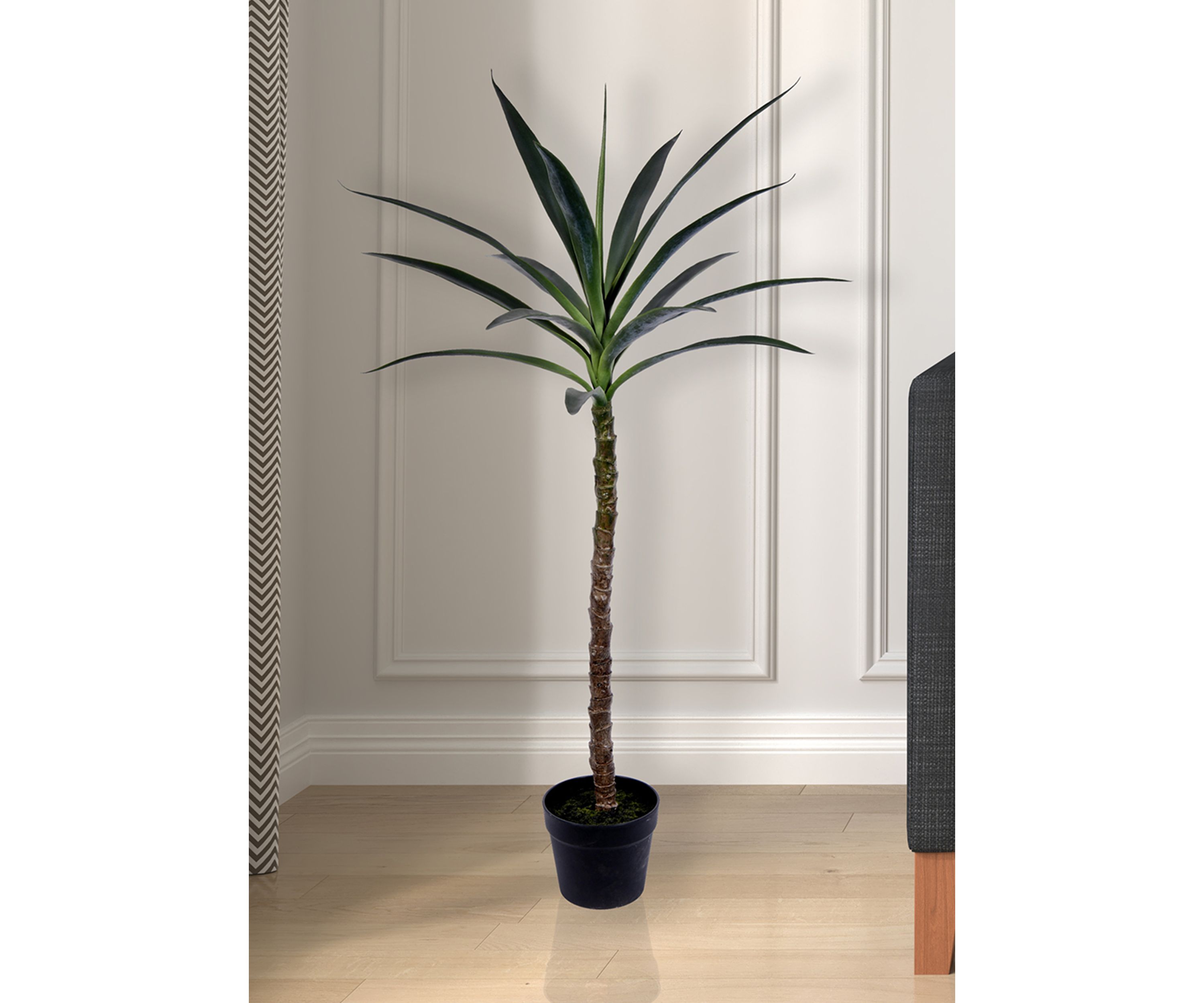 Green Yucca Tree in Black Planters Pot