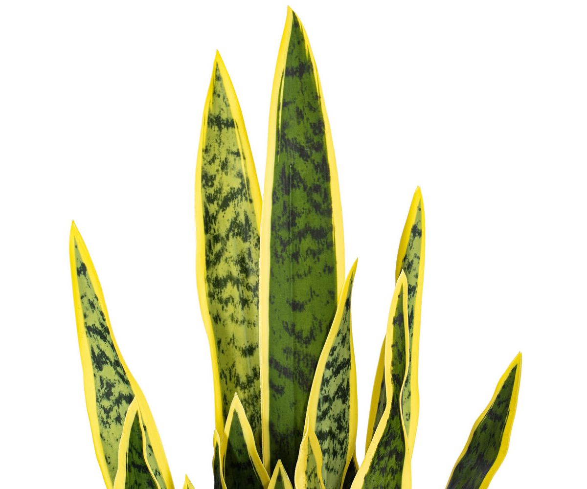 Vickerman 28" Artificial Green Snake Plant in 6 x 6 x 6" Gray Cement Pot. Green plant with yellow edges.
