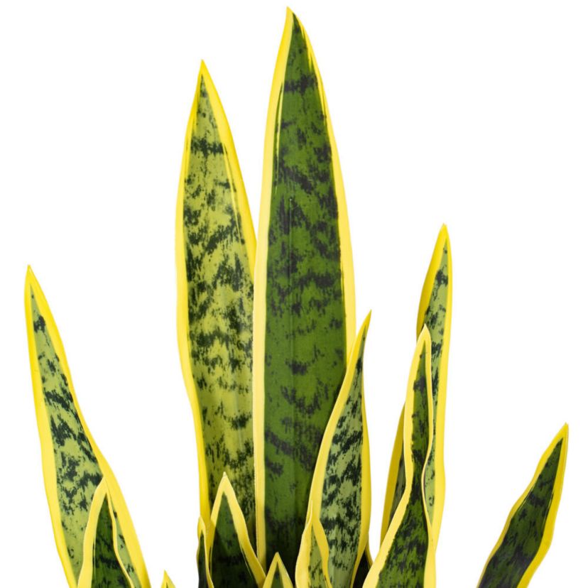 Vickerman 28" Artificial Green Snake Plant in 6 x 6 x 6" Gray Cement Pot. Green plant with yellow edges.